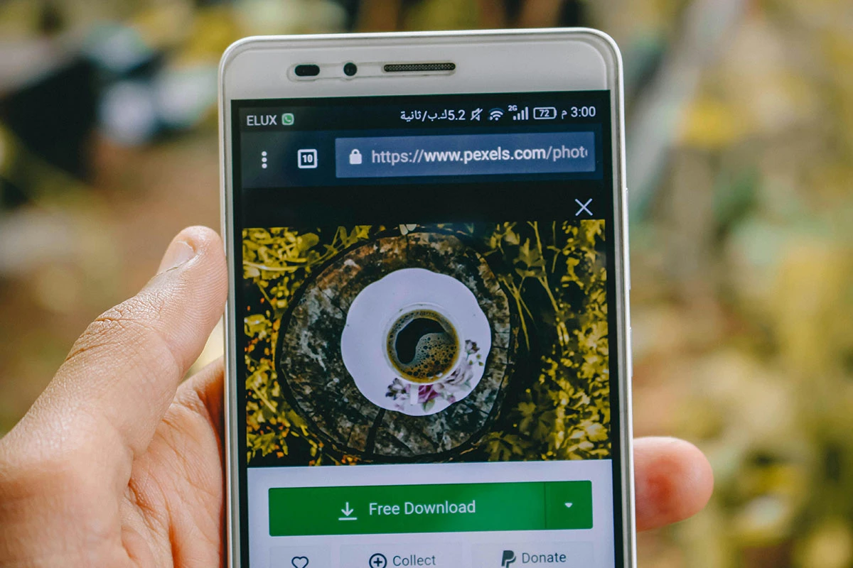 Web browser URL on phone